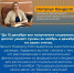 kandeli_30112021_2.jpg - Смидовичский район